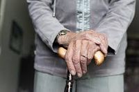 грижа за възрастни хора - 84636 новини грижа за възрастни хора - 32597 новини