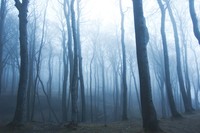 Monstrum - 85360 снимки