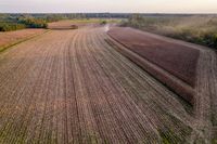 субсидии за земеделие - 66454 предложения | Agro TV субсидии за земеделие - 11043 предложения