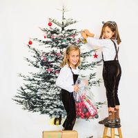Коледна фотосесия - 98669 селекции