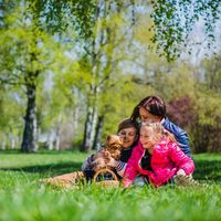 Семейна Фотосесия - 44959 награди